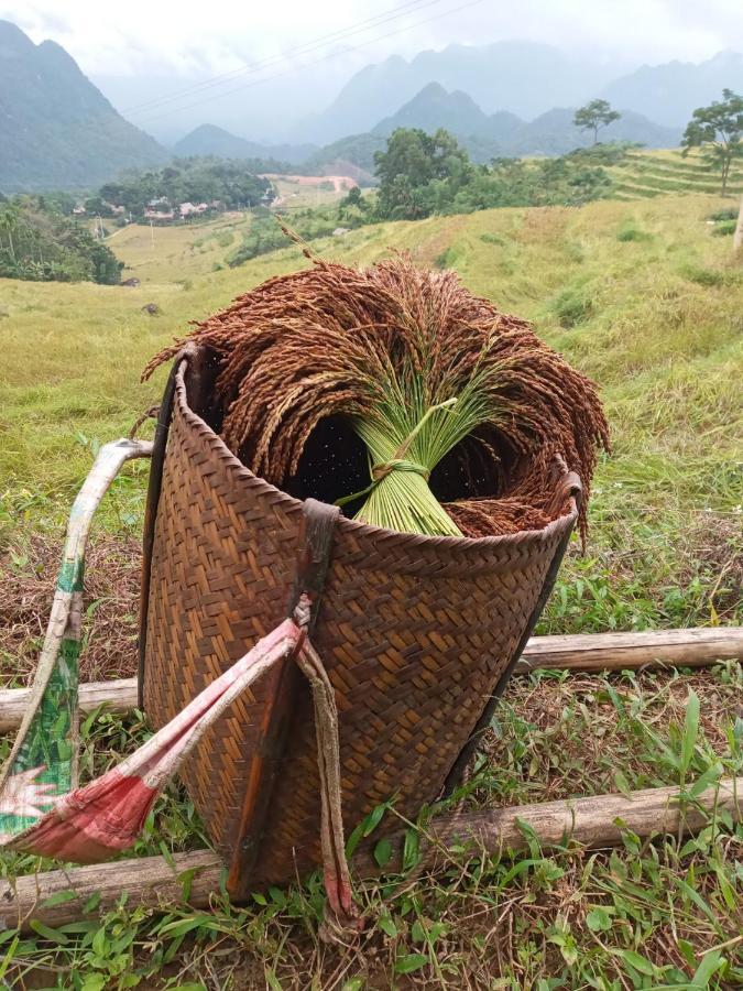 Puluong Bamboo Vila Huong Ba Thuoc Exterior foto