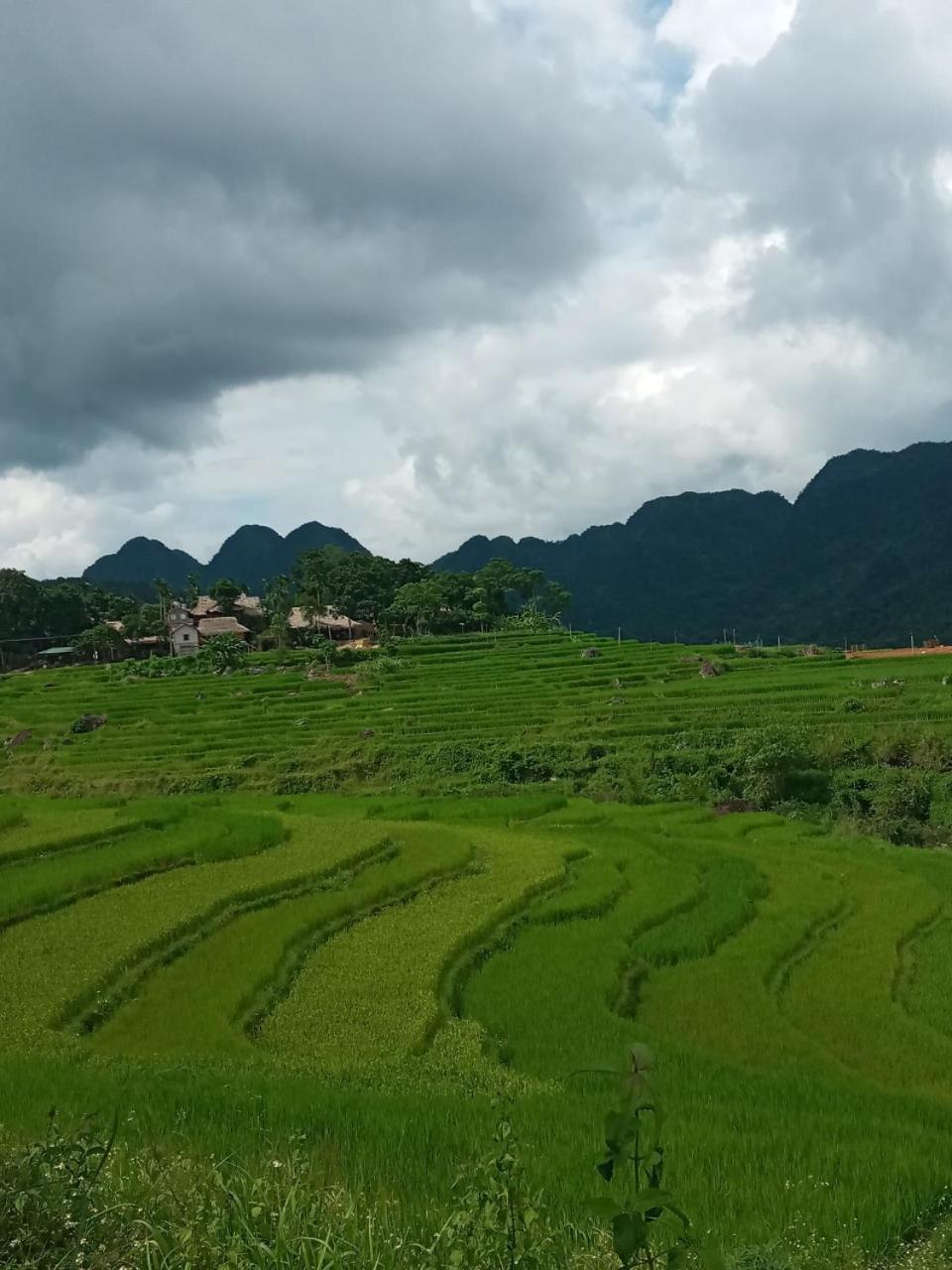 Puluong Bamboo Vila Huong Ba Thuoc Quarto foto